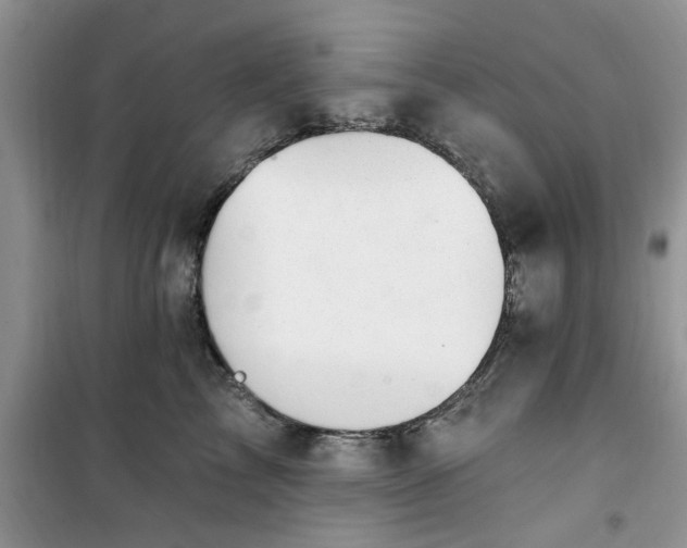 X0000100960713200807081242