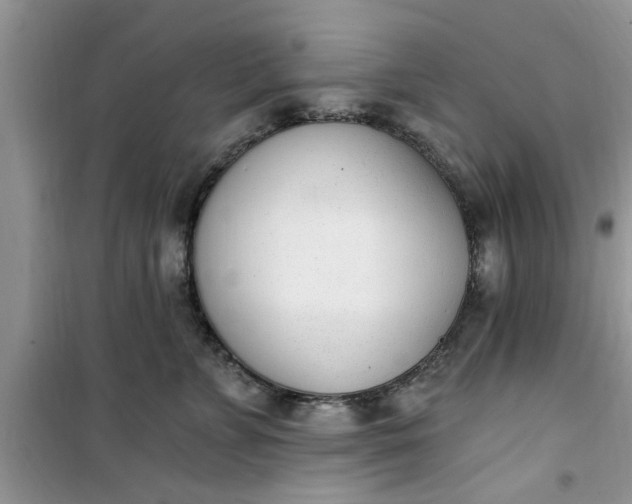 X0000100960715200807081242