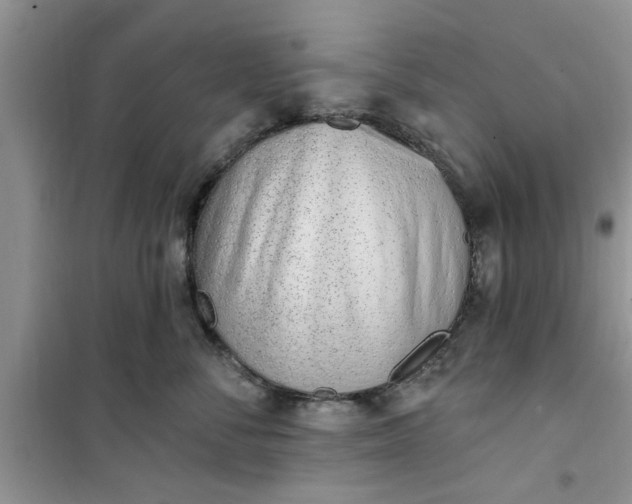 X0000100960716200807081242