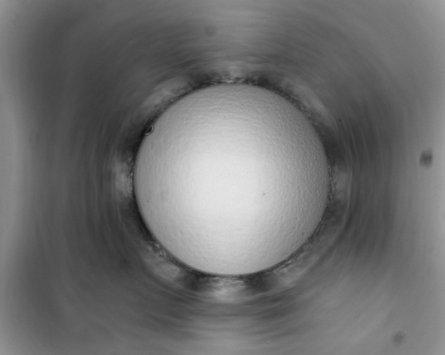 X0000100960719200807081242