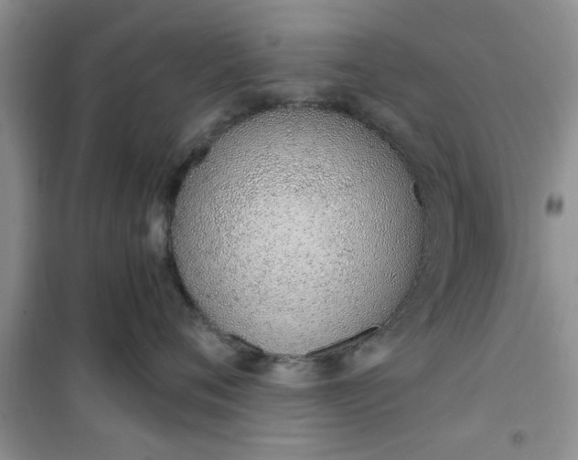 X0000100960720200807081241