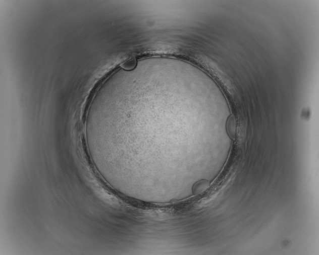 X0000100960721200807081241