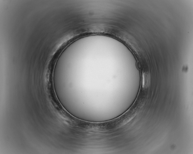 X0000100960723200807081241