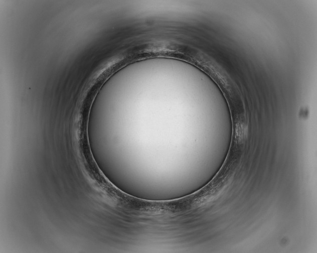 X0000100960724200807081241
