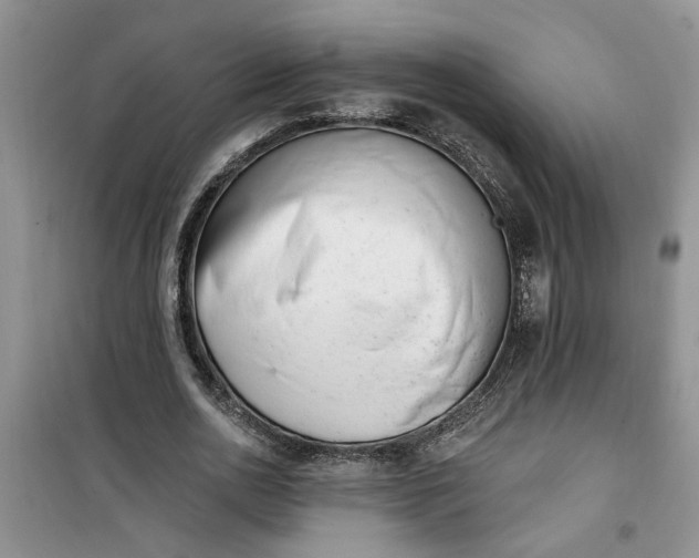 X0000100960726200807081241