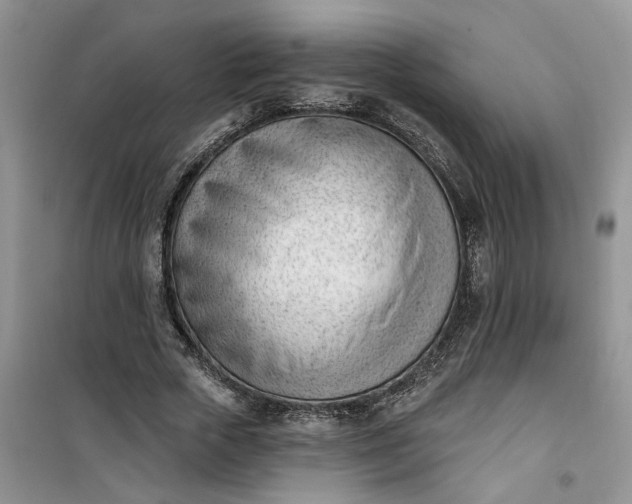 X0000100960729200807081241