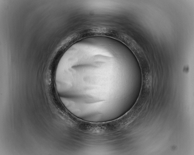 X0000100960731200807081241