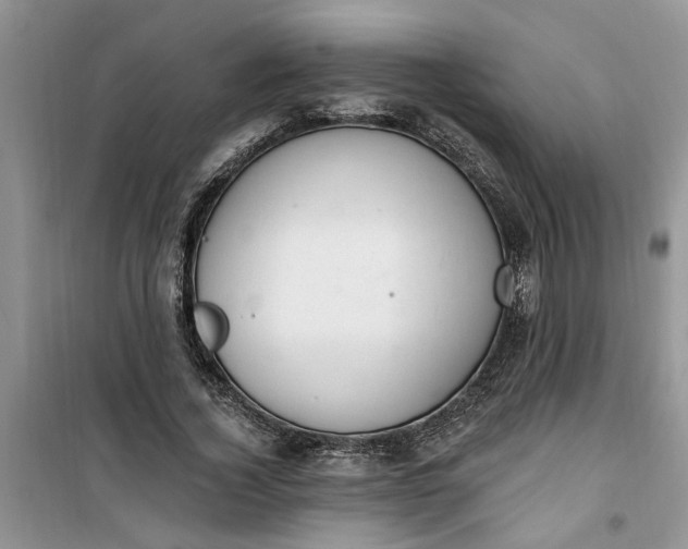 X0000100960732200807081241