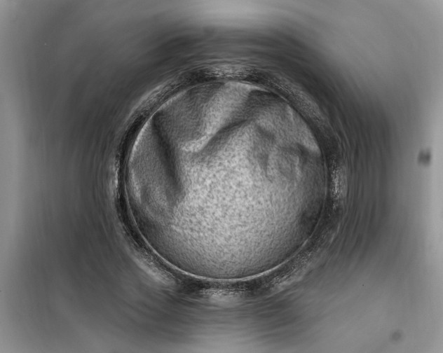 X0000100960733200807081241