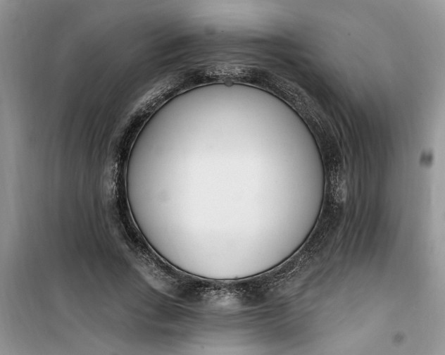X0000100960735200807081241