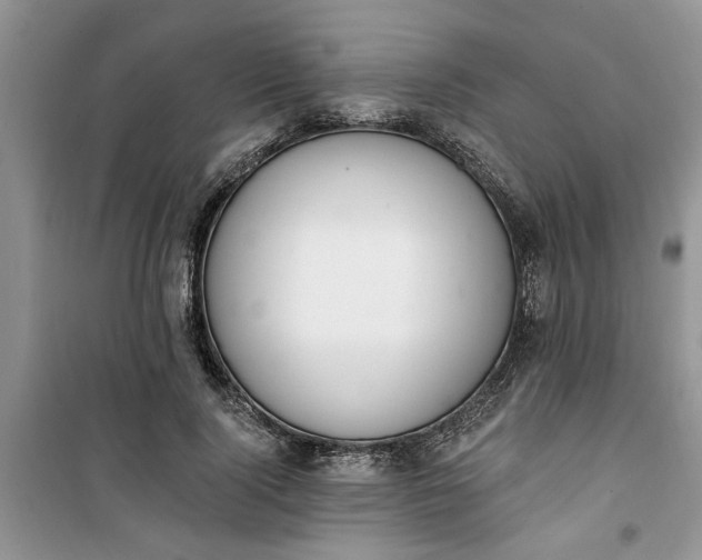 X0000100960740200807081241