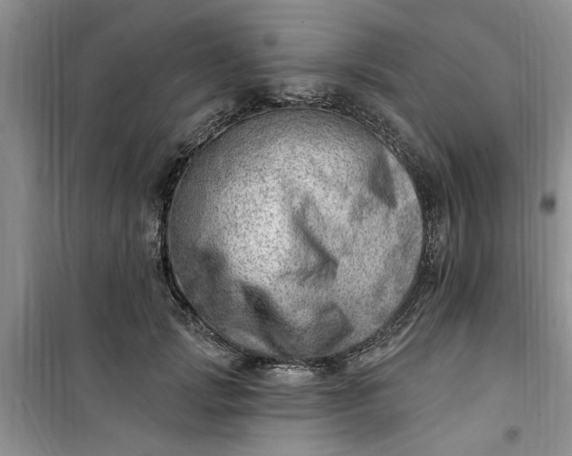 X0000100960749200807081241