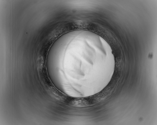 X0000100960752200807081241