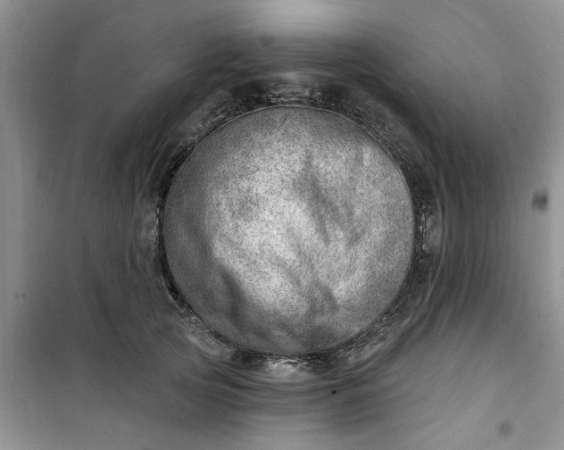 X0000100960753200807081241