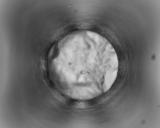 X0000100960755200807081241