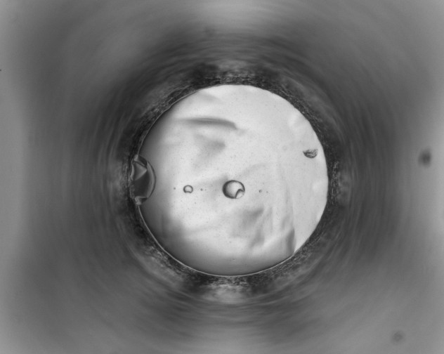 X0000100960756200807081241