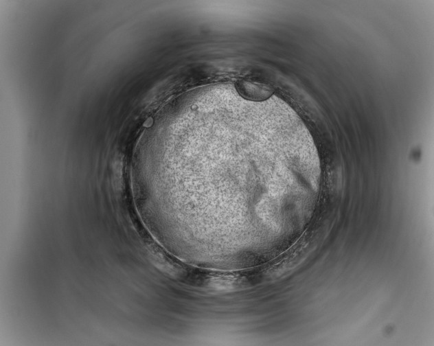 X0000100960757200807081241