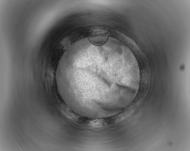 X0000100960761200807081241