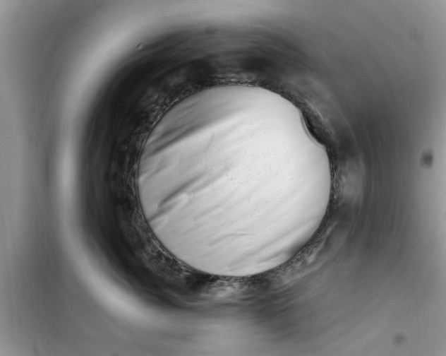 X0000100960764200807081241
