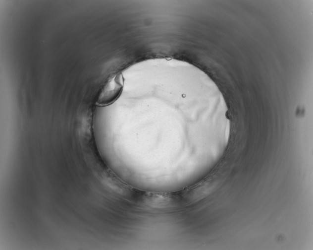 X0000100960768200807081241