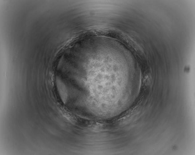 X0000100960772200807081241