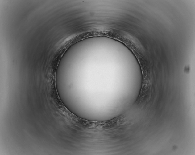 X0000100960773200807081241