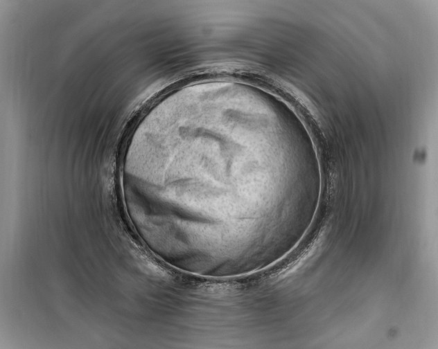 X0000100960778200807081241