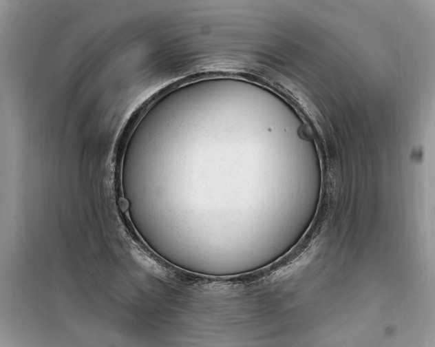 X0000100960779200807081241