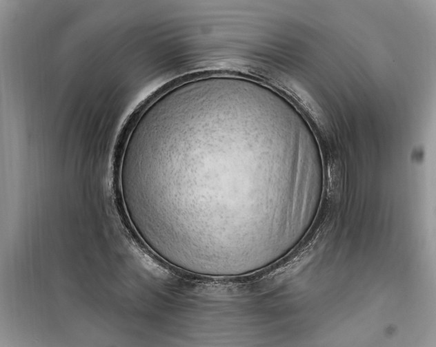 X0000100960780200807081241