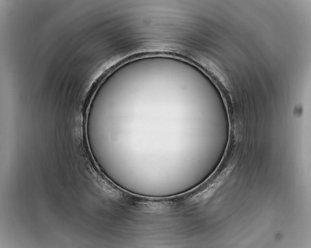 X0000100960781200807081241