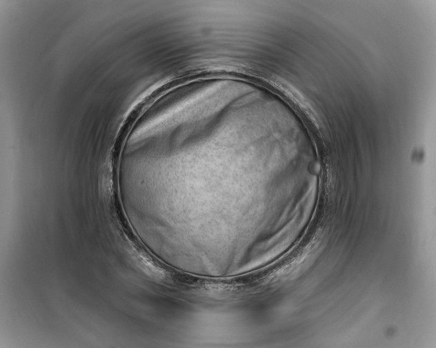 X0000100960782200807081241