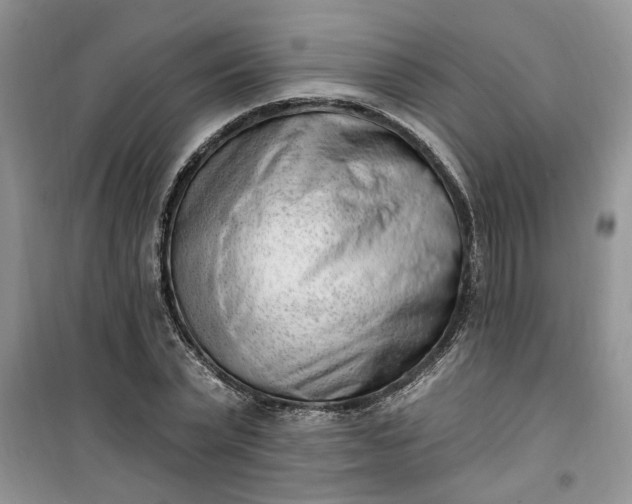X0000100960783200807081241