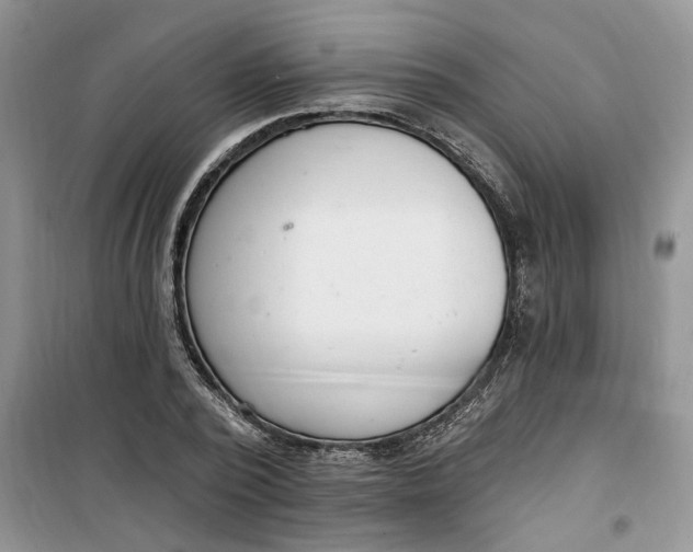 X0000100960784200807081241