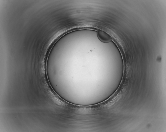 X0000100960789200807081240