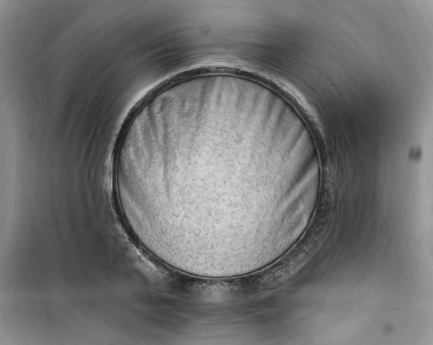 X0000100960791200807081240