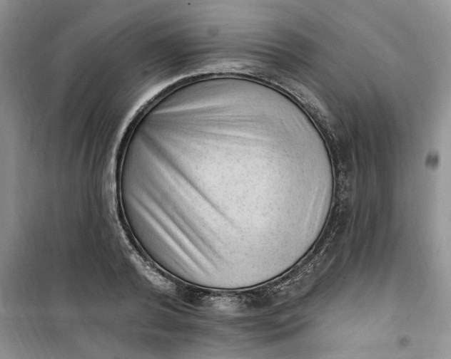 X0000100960792200807081240
