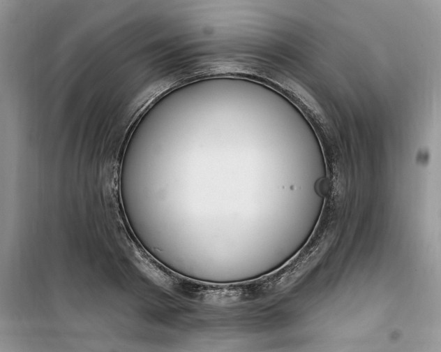 X0000100960793200807081240
