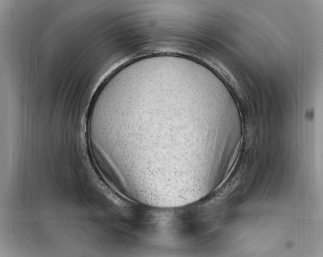 X0000100960798200807081240