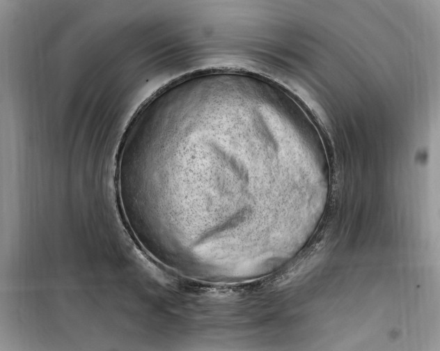 X0000100960799200807081240
