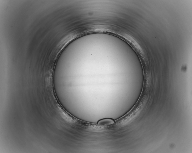 X0000100960801200807081240