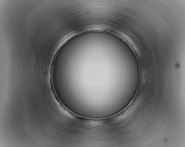 X0000100960802200807081240