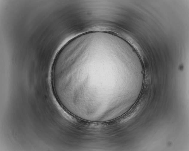 X0000100960803200807081240