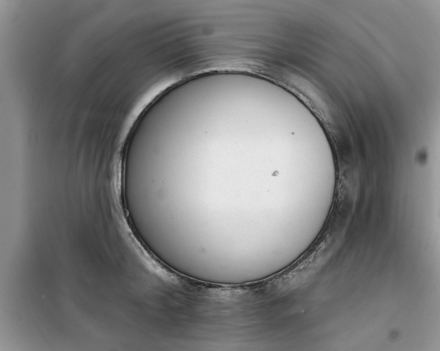 X0000100960804200807081240