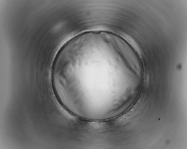 X0000100960805200807081240