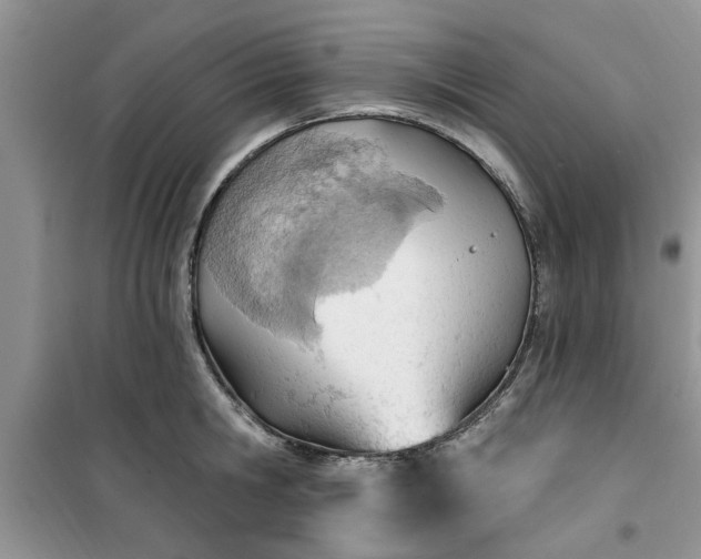 X0000100960806200807081240