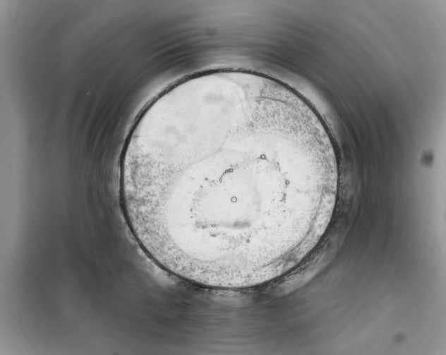 X0000100960807200807081240