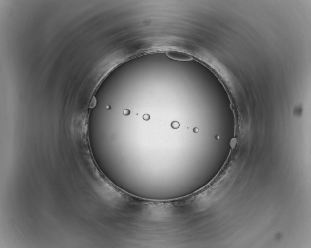 X0000100960809200807081240