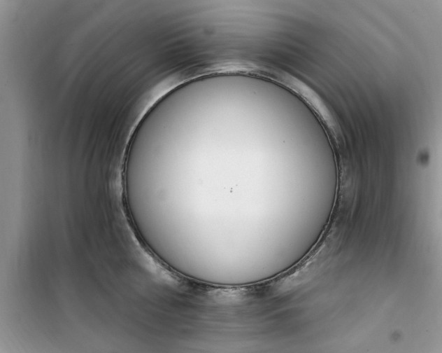 X0000100960810200807081240