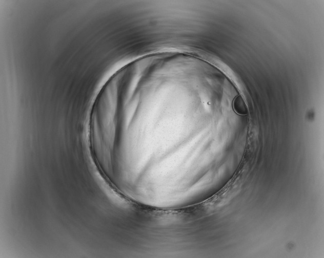 X0000100960811200807081240