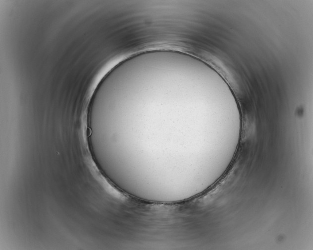 X0000100960812200807081240